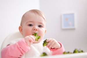alimentos sólidos para bebés
